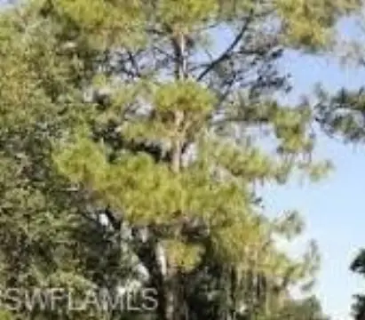 Land in Naples, Florida