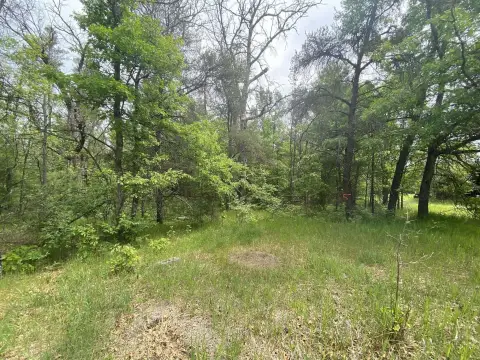 Vacant Wooded Land in Mio