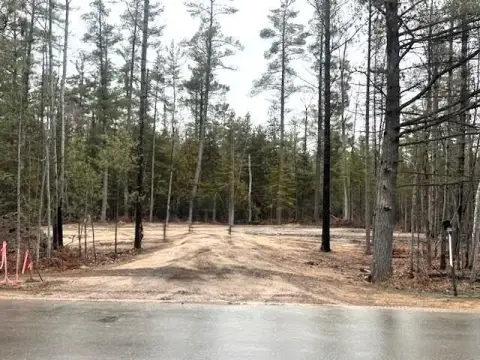 Wooded Lots Near Grayling