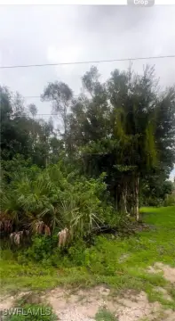 Land in Developing Lehigh Acres