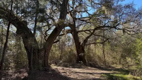 Vacant Land on Highway 90