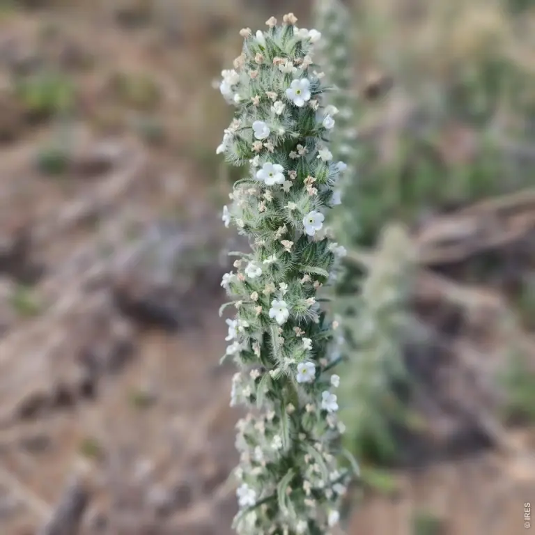 Picture 47
