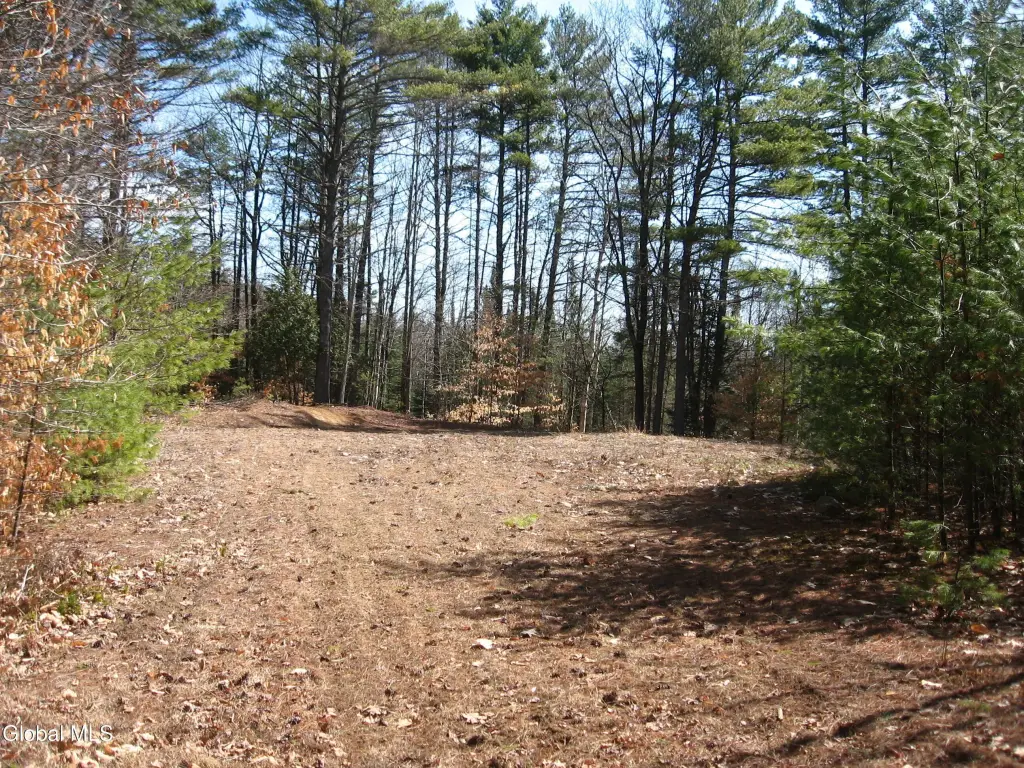 Picture 8