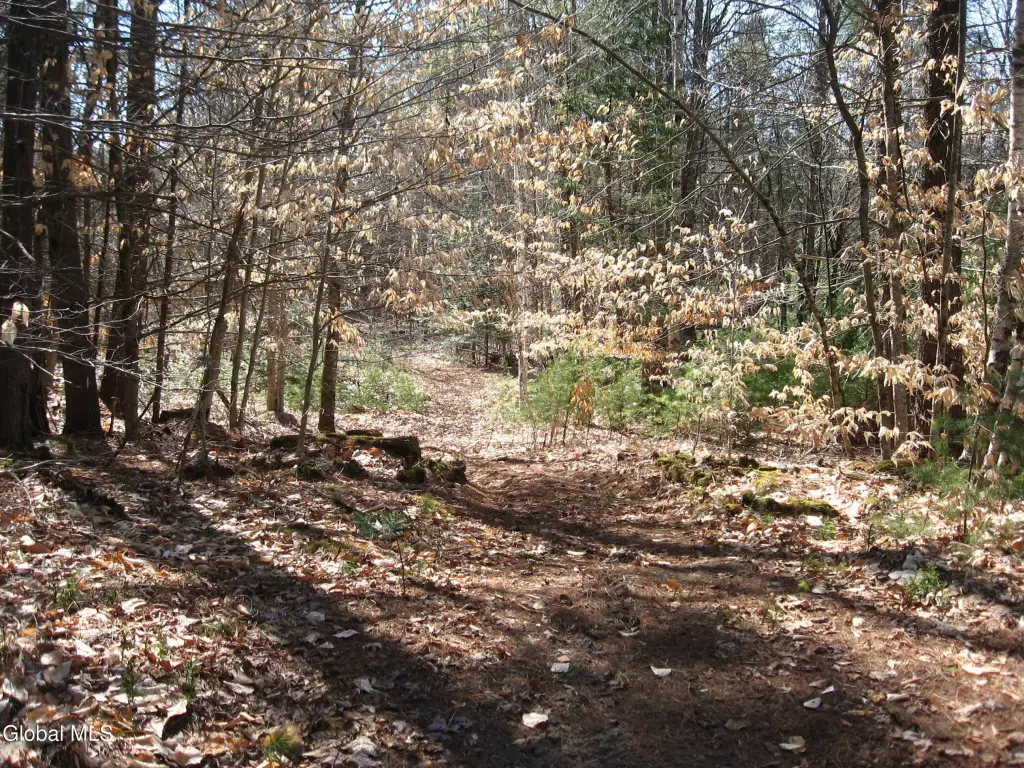 Picture 11