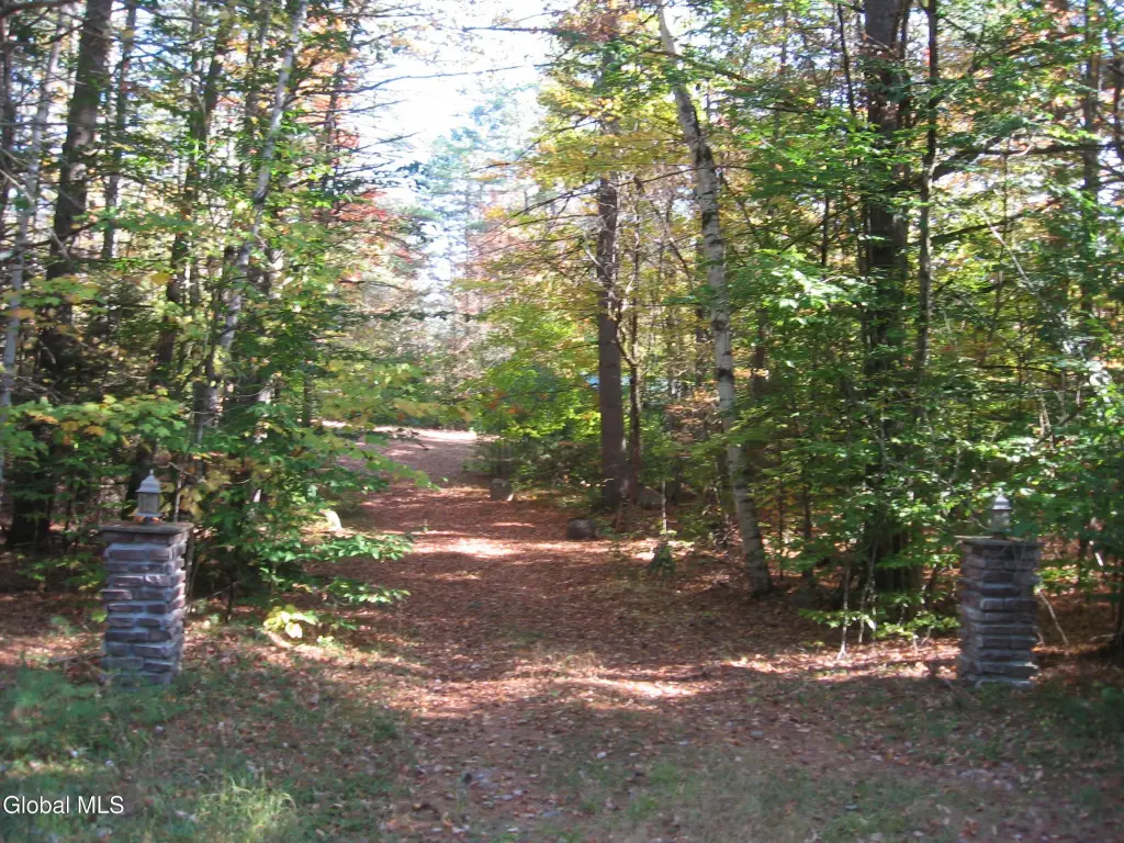 Picture 7