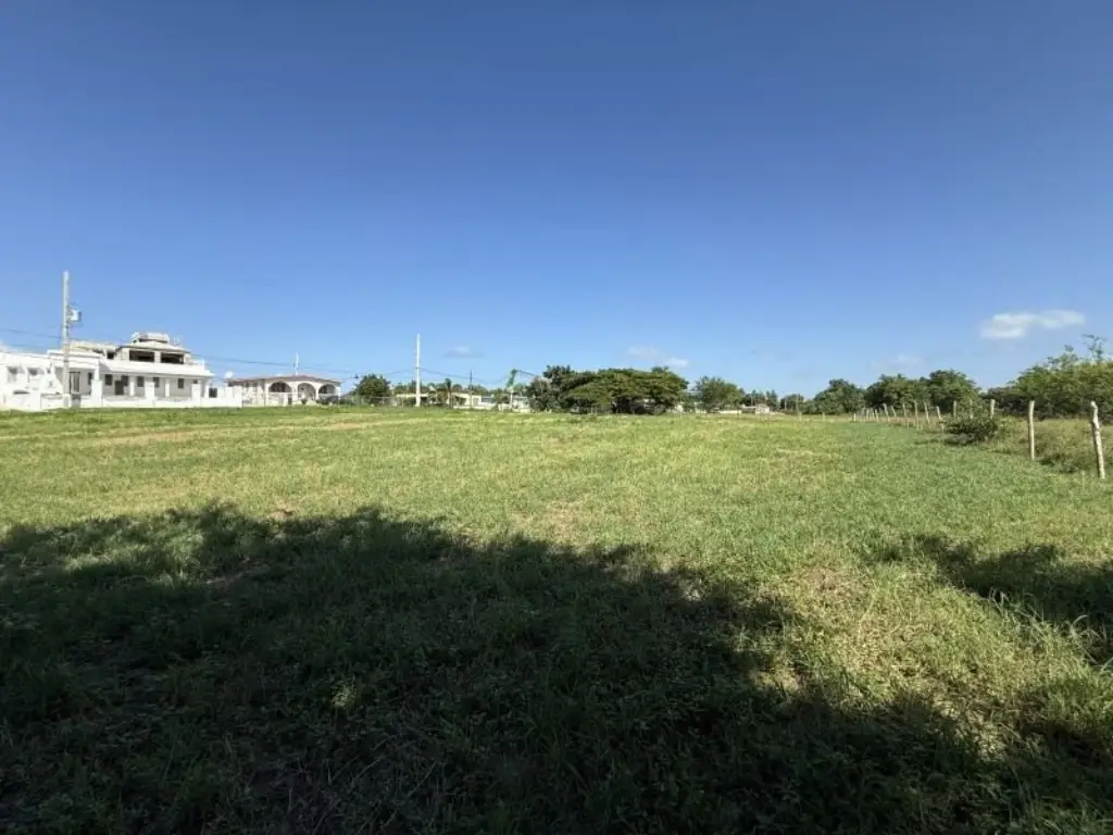 Picture 6