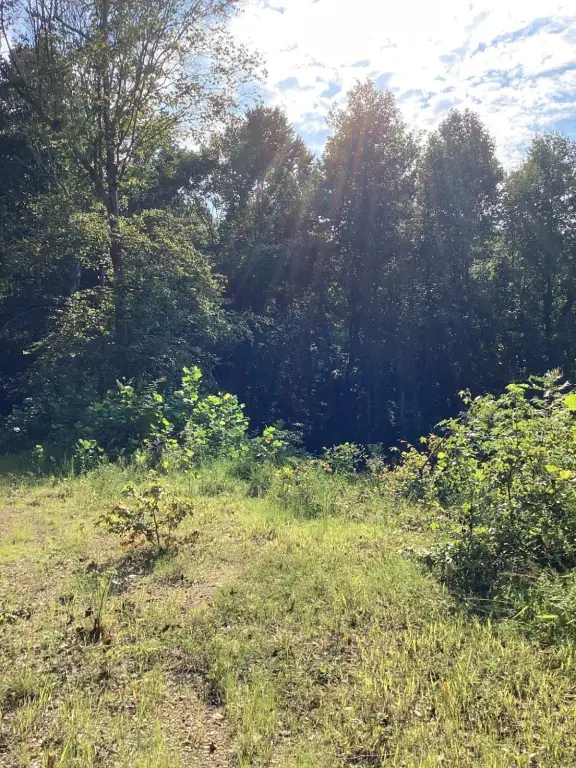 Picture 19