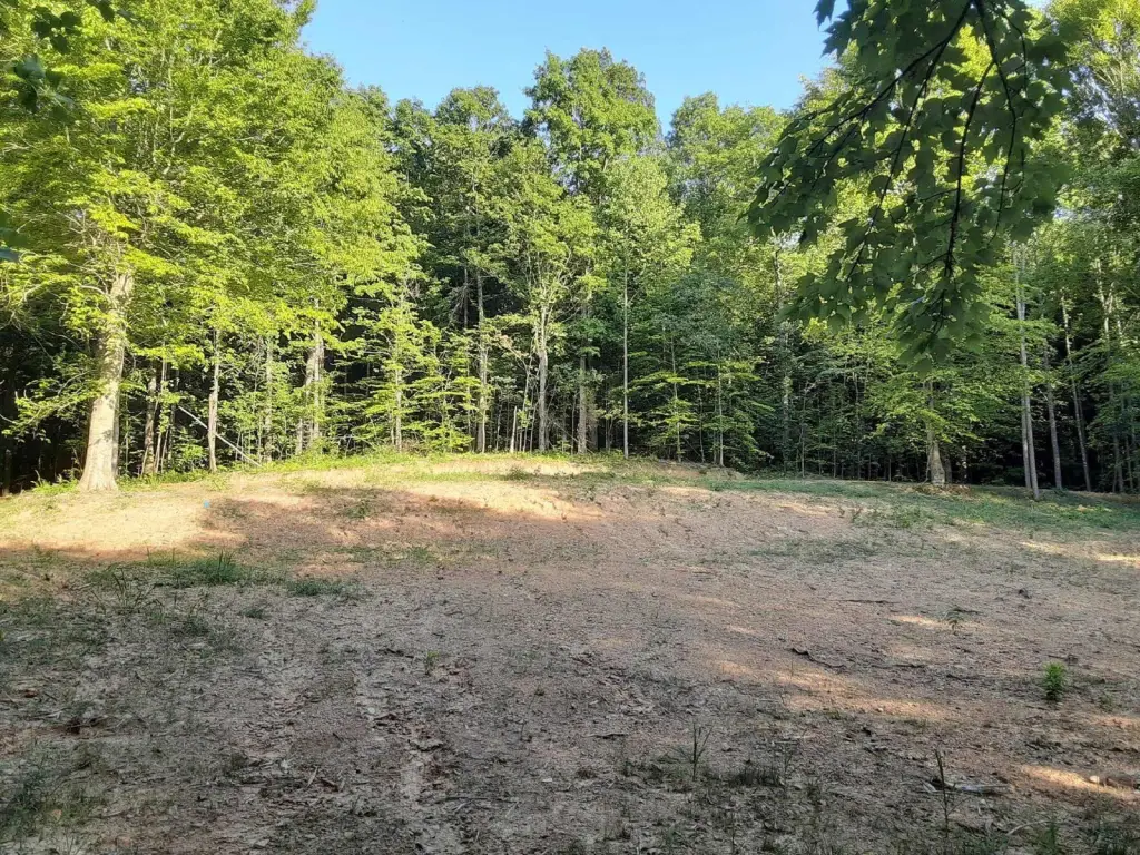 Picture 4
