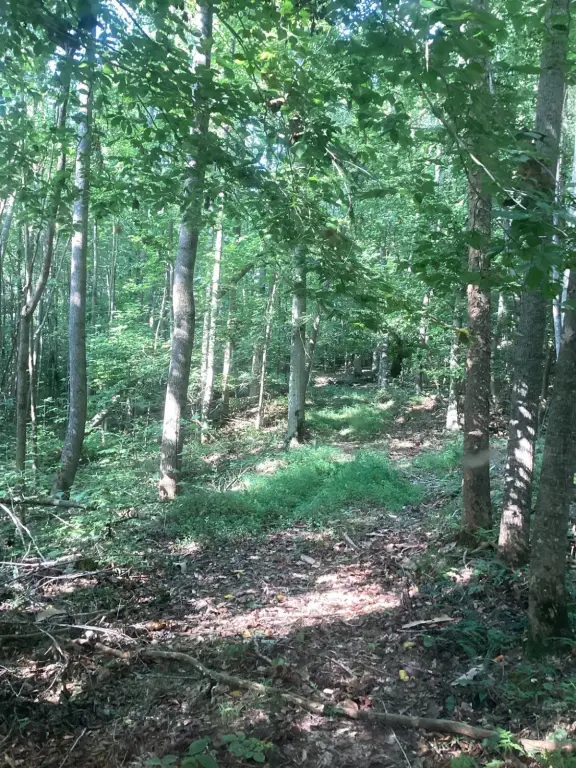 Picture 13