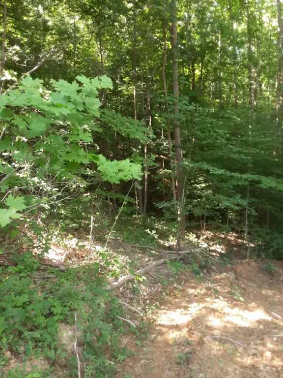 Picture 3