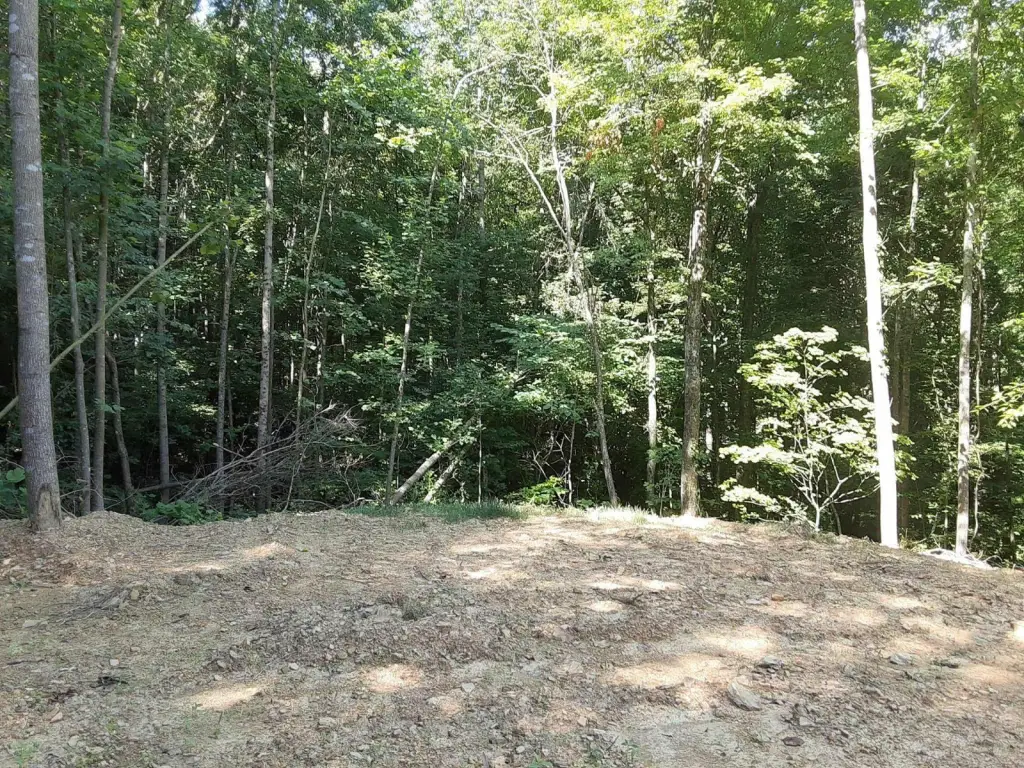 Picture 2