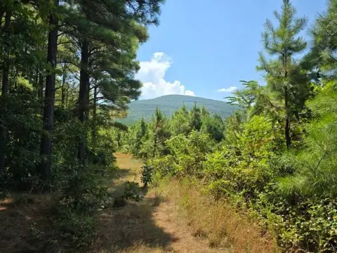 Poteau, OK Vacant Timberland Investment