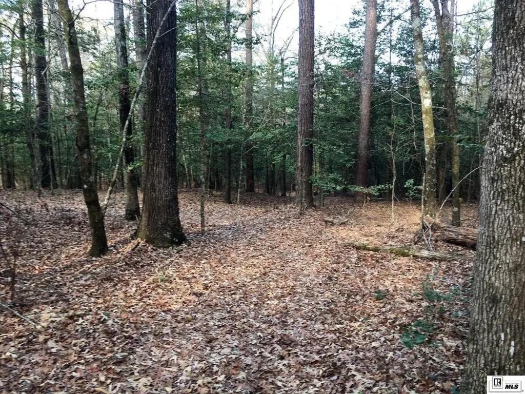 Picture 23