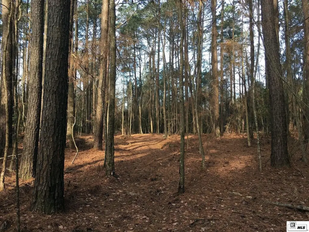 Picture 21