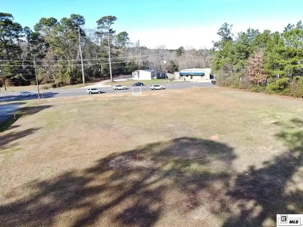 Picture 11
