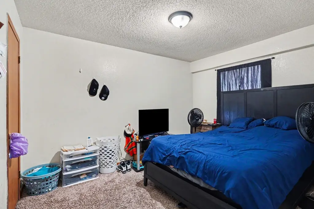 Picture 20