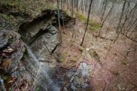 80 Acres Recreational River View