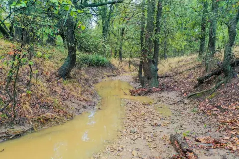 Riverfront Agricultural Ranch