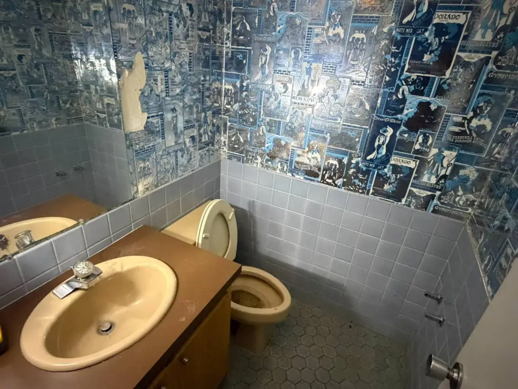 Picture 17