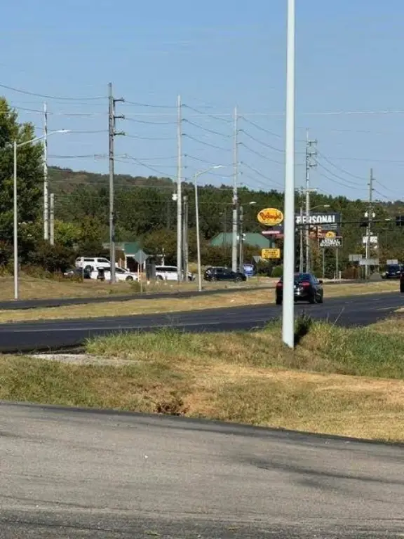 Picture 11