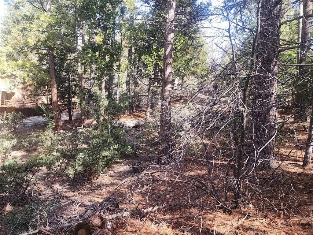 Picture 38