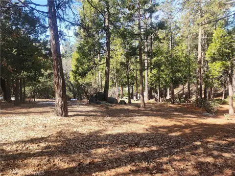 Idyllwild Land with Mountain Views