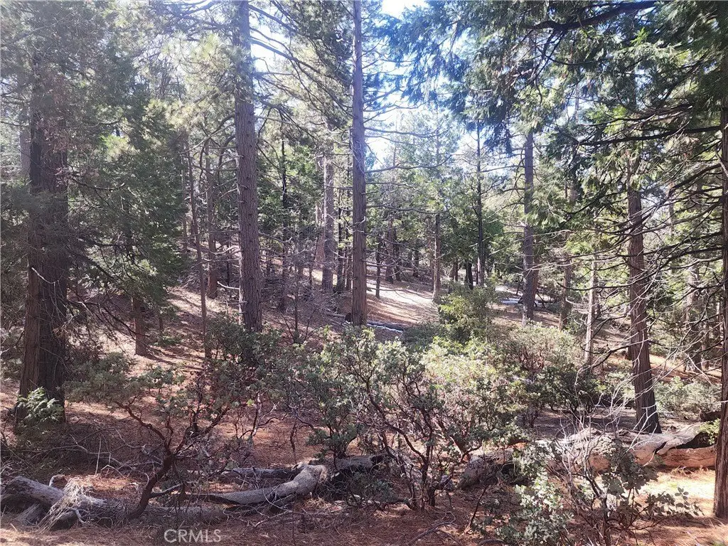 Picture 8