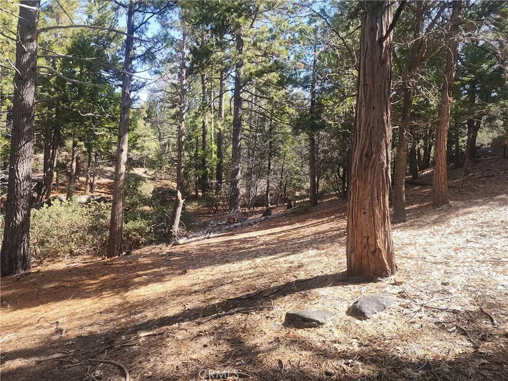 Picture 25
