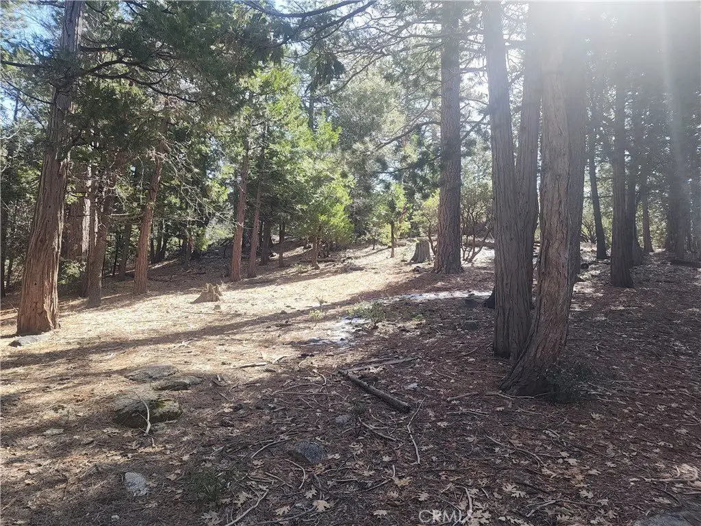 Picture 23