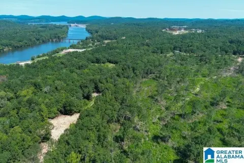 Ohatchee Creek Frontage Land