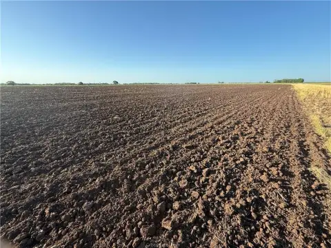 Productive Cropland Farm in Burleson County