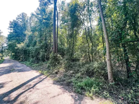 58 Acres of Wooded Land