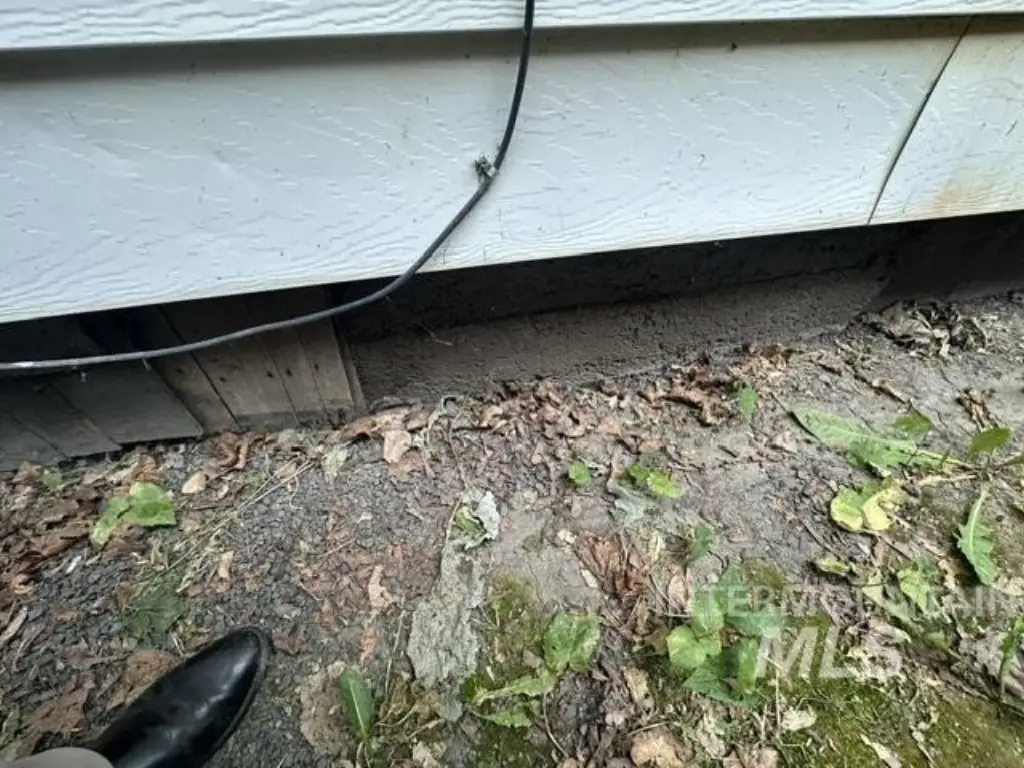 Picture 33
