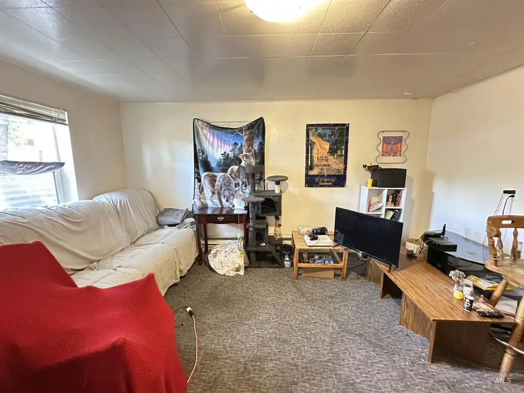 Picture 17