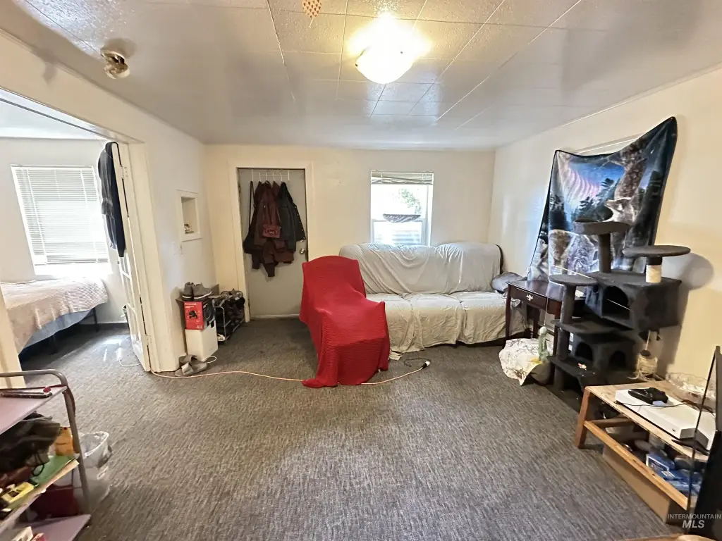 Picture 16