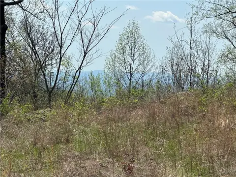 Landrum, SC Homesite with Views