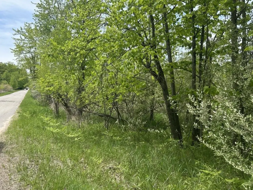Picture 4