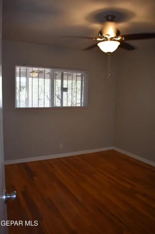 Picture 8