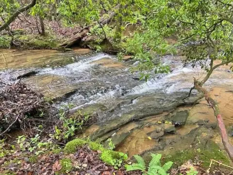Land with Soap Creek Frontage