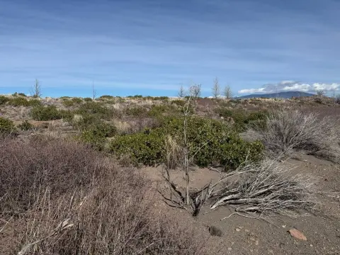 Vacant Land Near Highway 97