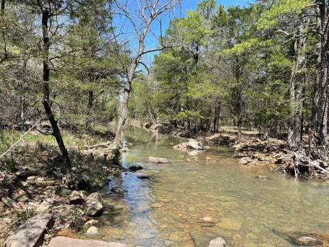 Creekside Land in Kiamichi Wilderness