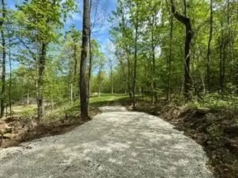 Secluded Wooded Tract Near Jasper