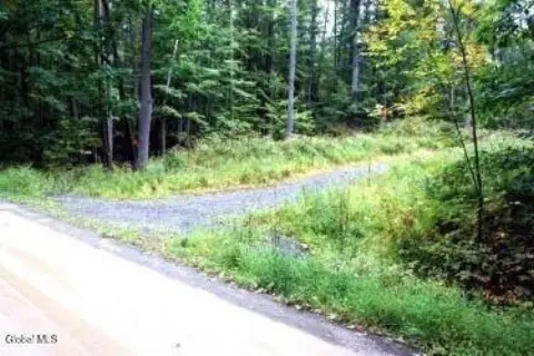 Wooded Land with Clearing