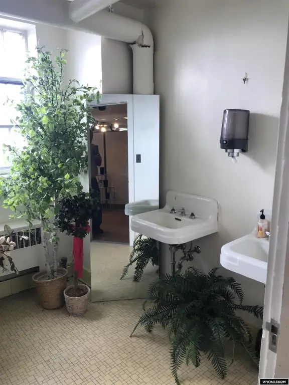Picture 21