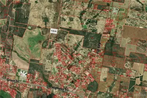 Spacious Acreage in Roma, TX