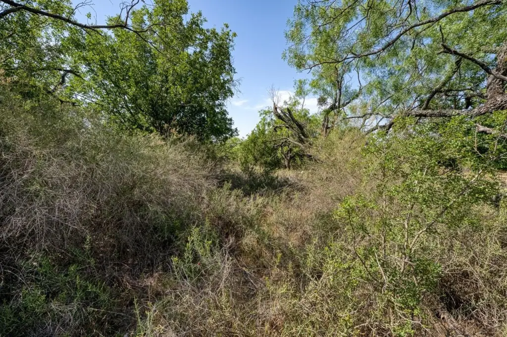Picture 22