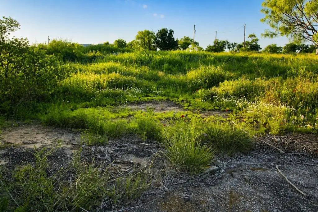Picture 7