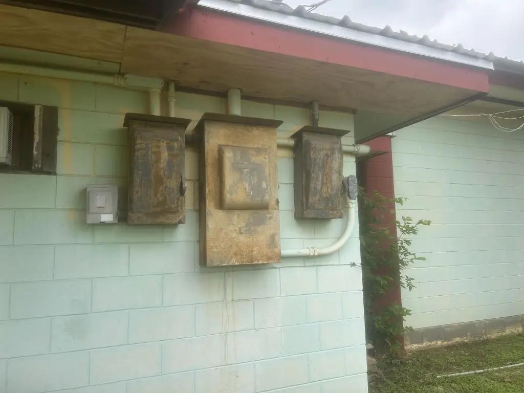 Picture 13