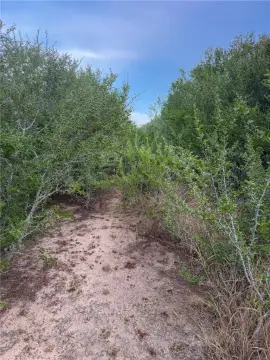 Hunting Land with High Fencing
