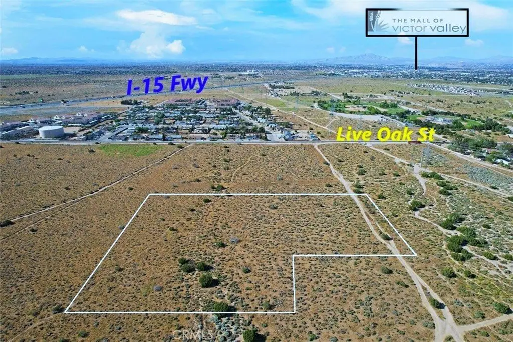 Picture 10